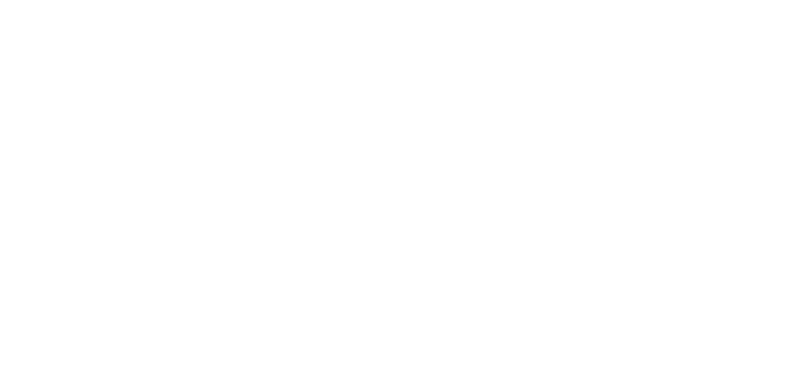 Digitalstrom Conbrio Group
